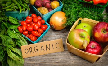 Importance of Organic Products