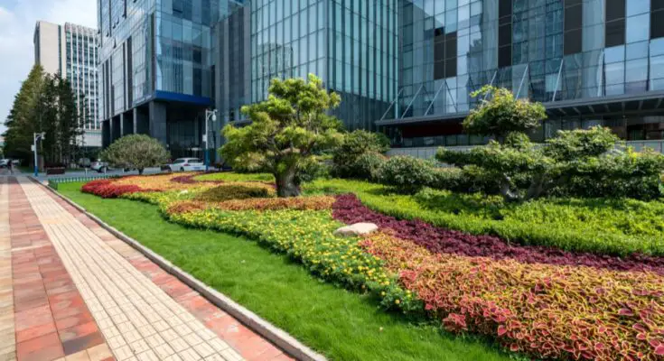 5 Ways Your Company Can Decorate Its Landscape
