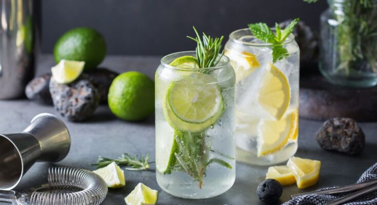 Homemade Hard Seltzer Tips for Fizzy Summer Fun