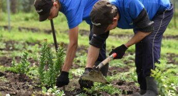 Gardening Through the Seasons: Adapting Herb Cultivation to Year-Round Changes