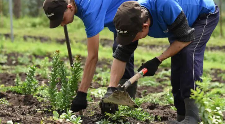 Adapting Herb Cultivation to Year-Round Changes
