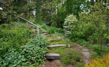 Eco-Friendly Alternatives to the Traditional Grass