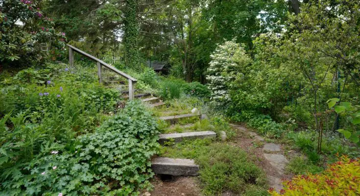 Eco-Friendly Alternatives to the Traditional Grass
