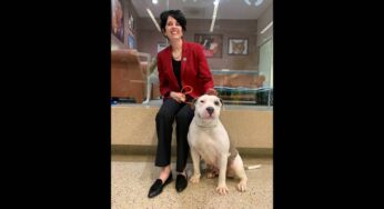 Balancing Passion and Profession: How Bronwyn Stanford Advocates for Animal Rights Within Legal Frameworks