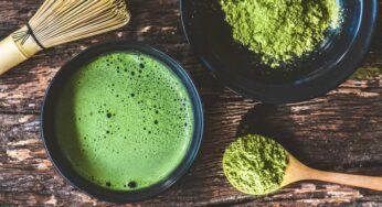 Why Matcha Tea Is Important to Japanese Culture