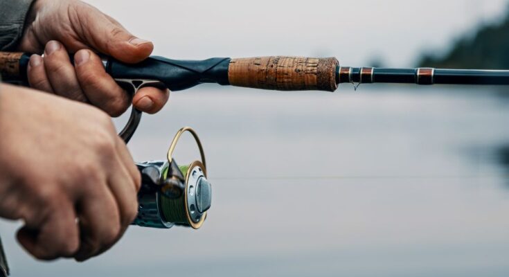 A Comprehensive Guide to Fishing Gear for Beginners