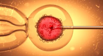 Microinjection: What It Is and Its Applications in Science