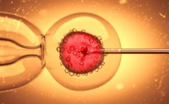 A close-up of a drop of liquid containing an egg that is being injected with genetic material via a needle.