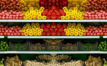 The vegetable section in a produce aisle of a small grocery store. The produce is thoughtfully showcased for better sales.