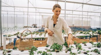 6 Tips and Tricks to Help You Organize Your Gardening Equipment