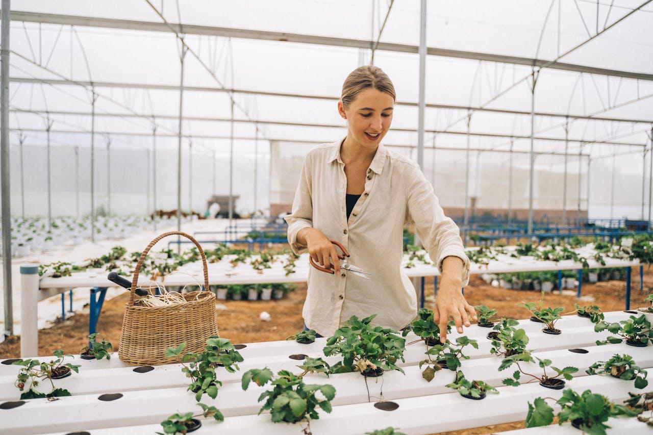 Tips and Tricks to Help You Organize Your Gardening Equipment