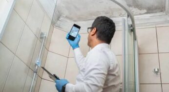 The Long-Term Benefits Of Professional Mold Remediation For Your Property Value