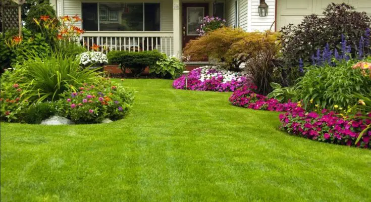 Lawn Care Tips for a Perfect Yard