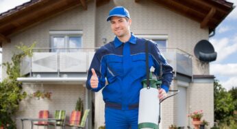 Battling Bugs: Effective Strategies for a Pest-Free Home
