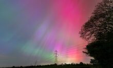 A massive display of the northern lights in pink, purple, and green over a country road lined with trees and power lines.
