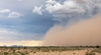 Simple Ways To Control Dust Spread on Your Land