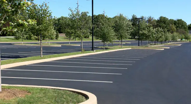 An empty asphalt parking lot on a sunny day. There are lush trees and tall light posts throughout the parking area.
