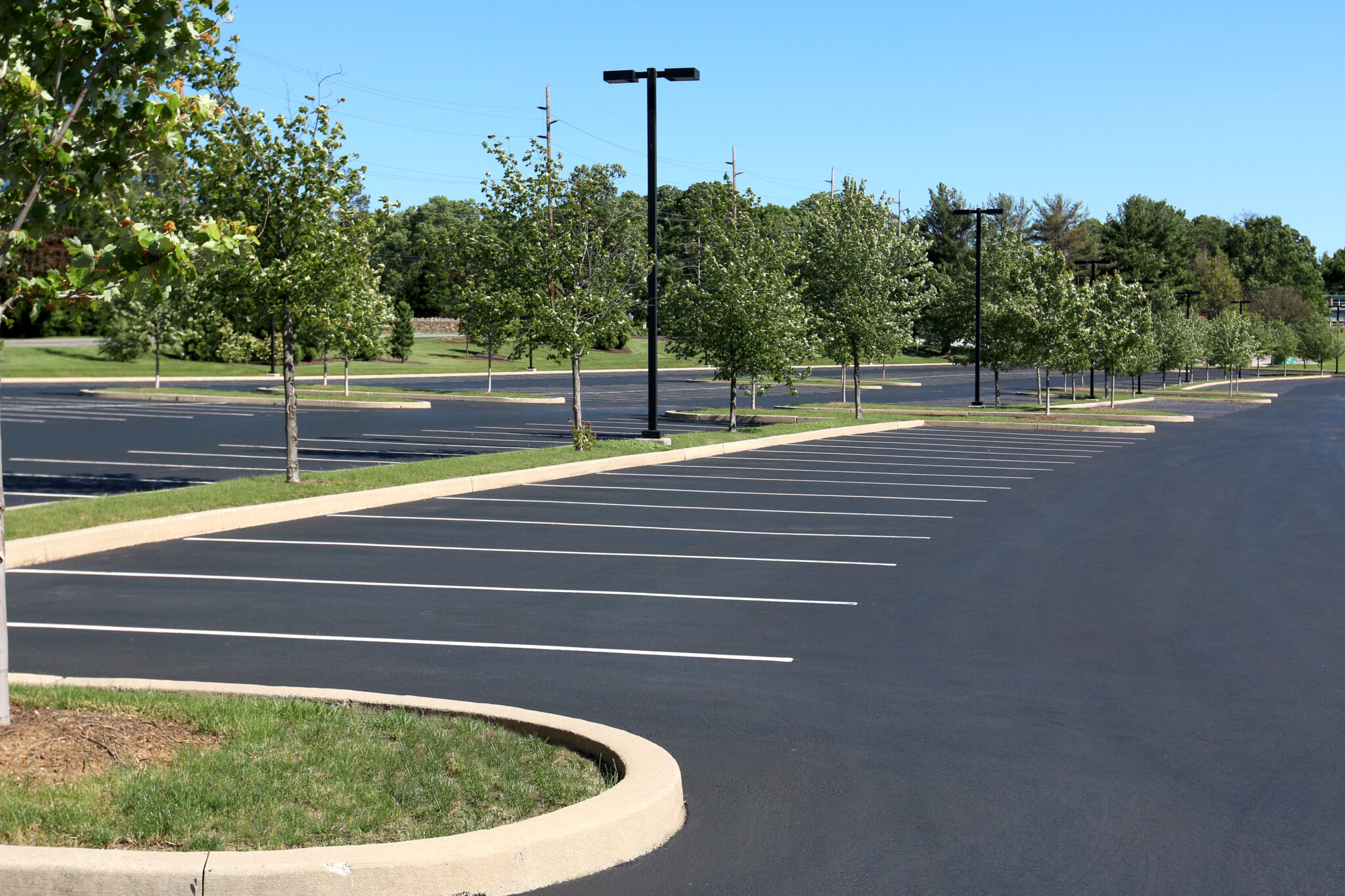 An empty asphalt parking lot on a sunny day. There are lush trees and tall light posts throughout the parking area.