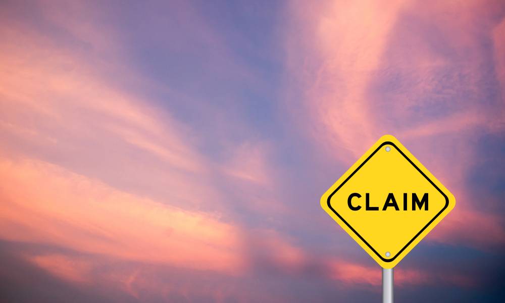 A yellow diamond-shaped sign reads "claim" in black, bold letters. A pink and purple sunset is in the background.