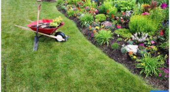 4 Suggestions for Making Yard Work Easier