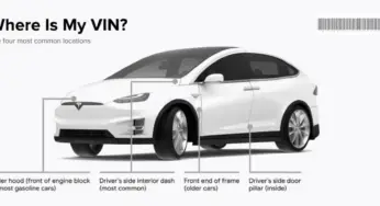 Fascinating Facts in the World of Vehicle Identification