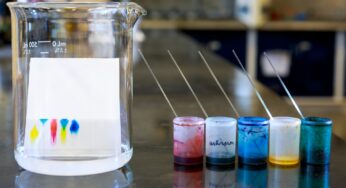 Interesting Facts You Don’t Know About Chromatography