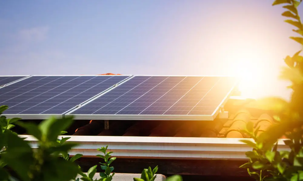 A row of solar panels on a building's roof, with bright sunlight shining down and plants framing the rooftop.