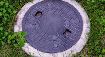 Understanding the Role of Bacteria in Your Septic Tank