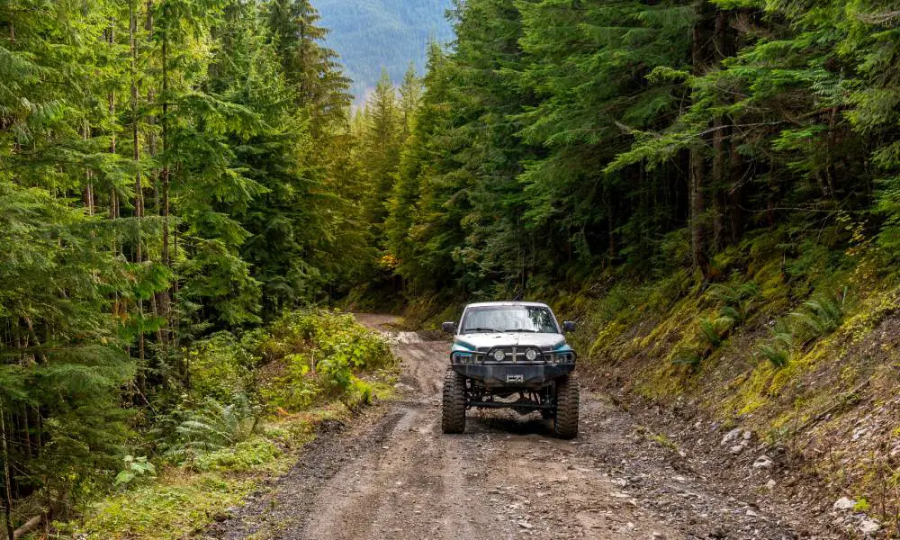 A silver-lifted truck drives on a dirt road that's covered in rocks and surrounded by tall, mature trees.