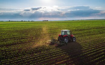 A tractor cultivates a field on a farm. The rows feature green plants that stretch far into the distance.