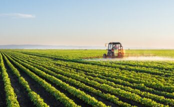 A red tractor with a sprayer attachment is out in fields spraying the crops. The mountains appear in the back.
