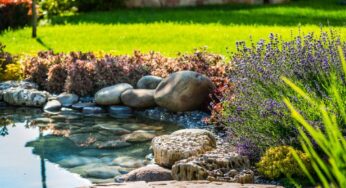 5 Tips for Creating a Serene Outdoor Garden Space