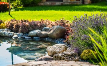 A paved path leads to a water feature surrounded by purple and red plants and rocks in a backyard.