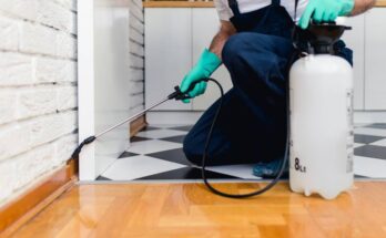 A professional exterminator using a spraying device to apply pest prevention chemicals in the corner of a kitchen.