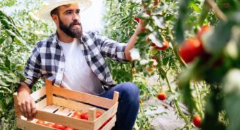 4 Common Mistakes Beginner Farmers Tend To Make
