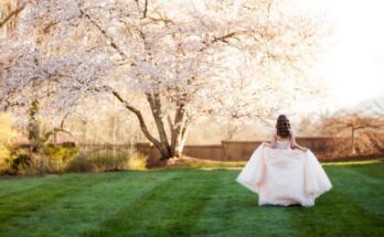 The backside of a girl with curled, brown hair stands outside in a lush field, slightly lifting the skirt of her ballgown.