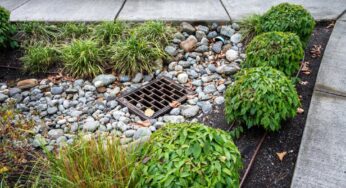 How NYC Manages Stormwater To Prevent Flooding