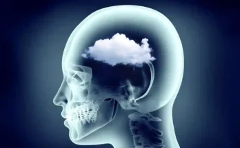 Effects Of Brain Fog On Your Health