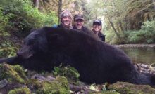 Embracing Nature’s Balance Through Black Bear Hunting Journeys