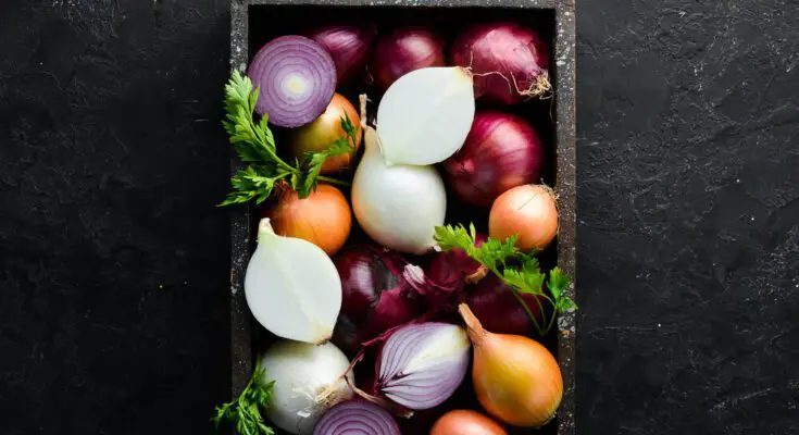 A selection of cut and whole onions sit in a black wooden box on a black countertop. Sprigs of parsley garnish the box.