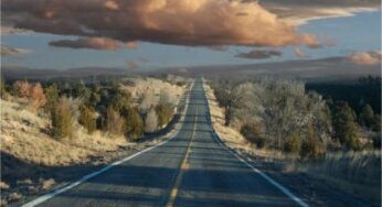 Legal Lessons from the Open Road: Insights on Truck Regulations and Their Impact on Safety and Responsibility