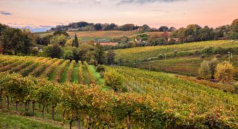 What To Know Before Hiking in Italian Wine Country