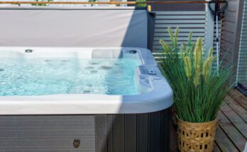 A white and brown swim spa has the top open and is full of water. A potted, tall, grassy plant sits next to the spa.