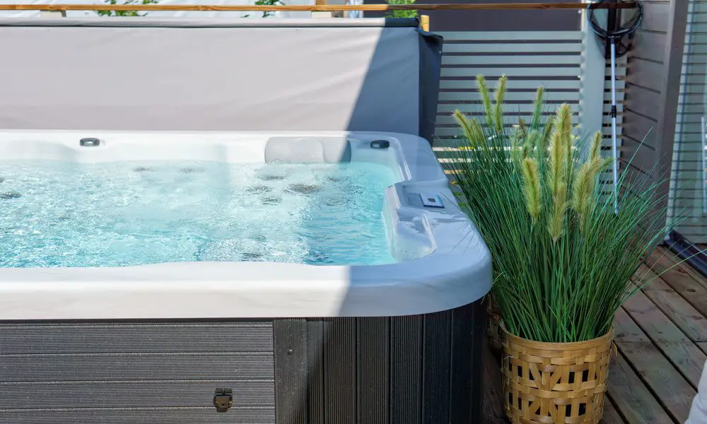 A white and brown swim spa has the top open and is full of water. A potted, tall, grassy plant sits next to the spa.