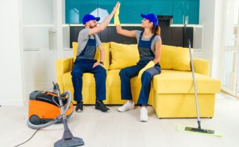 7 Reasons Your Cleaner Deserves a Shoutout Today