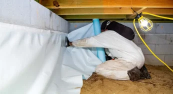 Why Regular Crawl Space Inspections Are Crucial For Home Maintenance?