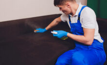 Fabric-Protection Sprays Save Your Sofa and Your Sanity