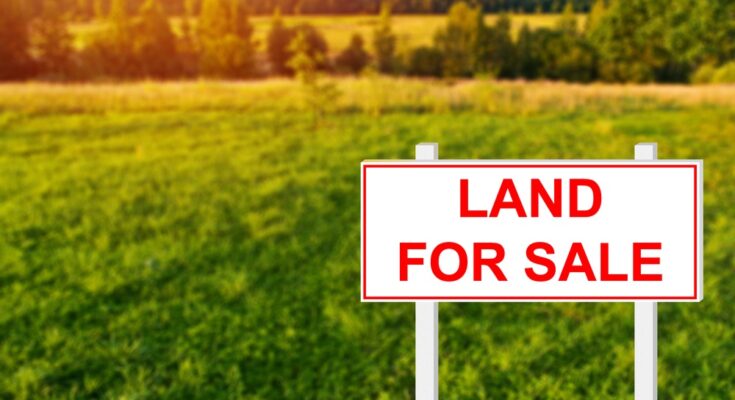 Large plot of land with lush green grass and multiple trees scattered with a large white sign displaying land for sale.