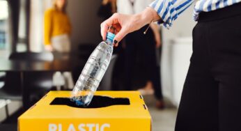 4 Waste Reduction Strategies for Businesses