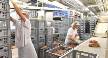 Interesting Facts About Large Commercial Bakeries